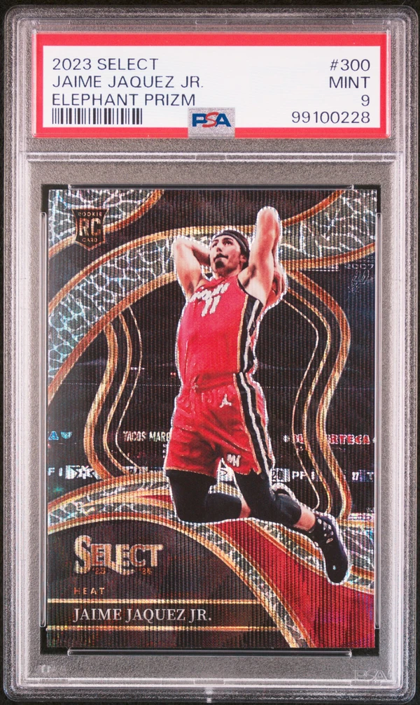 JAIME JAQUEZ JR. 99100228