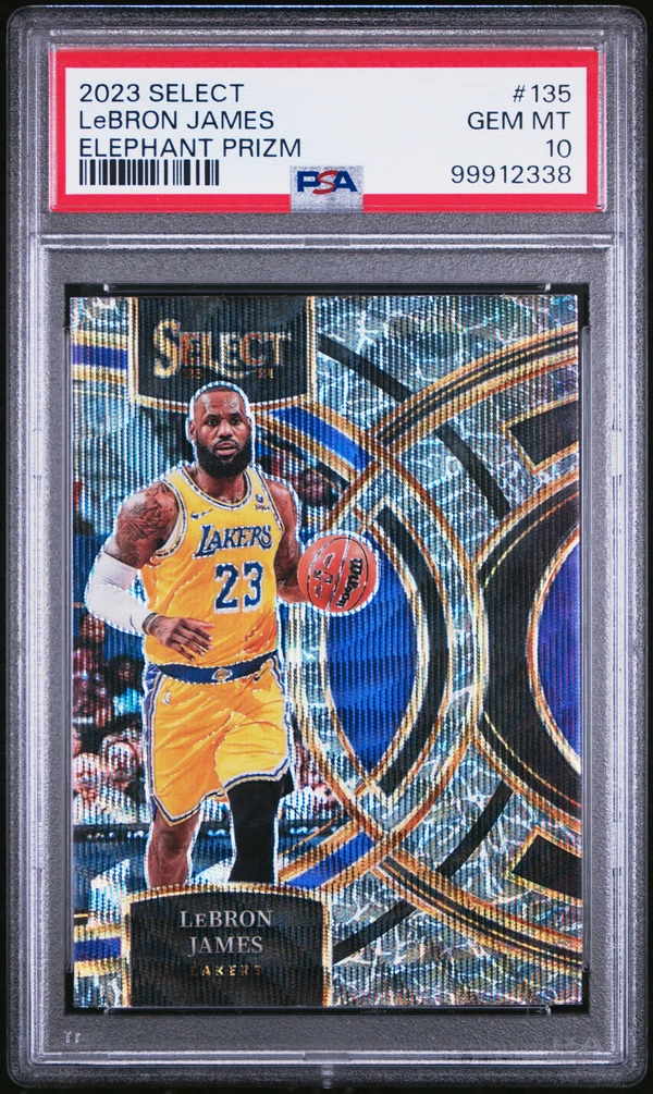 LeBRON JAMES 99912338